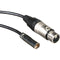 Blackmagic Design Set de 2 cables de audio Mini XLR a XLR para Video Assist 4K (19.5 ")