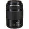 Panasonic Lumix G X Vario PZ 45-175mm f/4-5.6 ASPH. POWER O.I.S. Lens